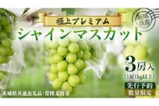 【 先行予約 】茨城県産 極上プレミアム シャインマスカット 1房1kg以上 数量限定 3房入り ( 茨城県共通返礼品 : 常陸太田市 )【 2025年 9月中旬頃より発送 】シャインマスカット フルーツ ぶどう 葡萄 ブドウ マスカット 果物  期間限定 数量限定