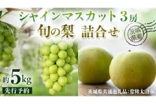 【 先行予約 】茨城県産 シャインマスカット3房と旬の梨詰め合わせ 約5kg ( 茨城県共通返礼品 : 常陸太田市 )【 2025年 9月中旬頃より発送 】 梨 ナシ なし 和梨 シャインマスカット フルーツ ぶどう 葡萄 ブドウ マスカット 果物  期間限定 数量限定