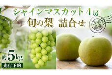 【 先行予約 】茨城県産 シャインマスカット4房と旬の梨詰め合わせ 約5kg ( 茨城県共通返礼品 : 常陸太田市 )【 2025年 9月中旬頃より発送 】 梨 ナシ なし 和梨 シャインマスカット フルーツ ぶどう 葡萄 ブドウ マスカット 果物  期間限定 数量限定