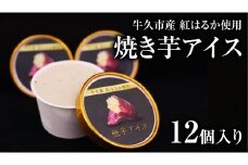 牛久市産 紅はるか 使用 焼き芋アイス 12個 入り アイスクリーム さつまいもスイーツ 焼き芋味 べにはるか 夏 アイス ギフト さつま芋 味 焼き芋 味 サツマイモ 冷凍 贈り物