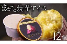 牛久市産 紅はるか 使用 焼き芋アイス 12個 入り アイスクリーム さつまいもスイーツ 焼き芋味 べにはるか 夏 アイス ギフト さつま芋 味 焼き芋 味 サツマイモ 冷凍 贈り物