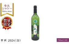 【 数量限定 】 甲州 2024（白） 1本 750ml 白ワイン ワイン やや甘口 アルコール13度 750ミリリットル 甲州使用 ギフト プレゼント 記念日 誕生日 父の日 母の日 お酒 贈り物