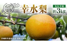 【 先行予約 】茨城県産 梨 幸水 約3kg 7玉～9玉 ( 茨城県共通返礼品 : 常陸太田市 )【 2025年8月中旬発送予定】 フルーツ 果物 国産 日本産 梨 ナシ なし 和梨 桧山果樹園 期間限定 数量限定