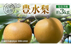 【 先行予約 】茨城県産 梨 豊水 約3kg 7玉～9玉 ( 茨城県共通返礼品 : 常陸太田市 )【 2025年 9月上旬頃より発送 】 フルーツ 果物 国産 日本産 梨 ナシ なし 和梨 期間限定 数量限定