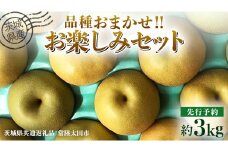 【 先行予約 】茨城県産 梨 品種おまかせお楽しみセット 約3kg 6玉～10玉 ( 茨城県共通返礼品 : 常陸太田市 )【 2025年 9月上旬頃より発送 】 フルーツ 果物 国産 日本産 梨 ナシ なし 和梨 期間限定 数量限定
