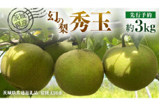 【 先行予約 】茨城県産 『幻の梨』 秀玉 約 3kg 7玉～9玉 ( 茨城県共通返礼品 : 常陸太田市 ) 【 2025年 8月下旬頃より発送 】 フルーツ 果物 国産 日本産 梨 ナシ なし 和梨 期間限定 数量限定