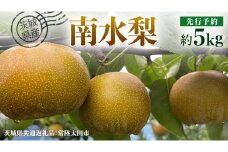 【 先行予約 】茨城県産 梨 南水 約5kg 11玉～16玉( 茨城県共通返礼品 : 常陸太田市 )【 2025年 9月中旬頃より発送 】 フルーツ 果物 国産 日本産 梨 ナシ なし 和梨 期間限定 数量限定
