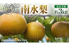【 先行予約 】茨城県産 梨 南水 約3kg 7玉～9玉 ( 茨城県共通返礼品 : 常陸太田市 )【 2025年 9月中旬頃より発送 】 フルーツ 果物 国産 日本産 梨 ナシ なし 和梨 期間限定 数量限定