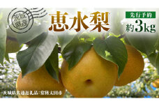 【 先行予約 】茨城県産 梨 恵水 約3kg 6玉～7玉 ( 茨城県共通返礼品 : 常陸太田市 )【 2025年 9月中旬頃より発送 】 フルーツ 果物 国産 日本産 梨 ナシ なし 和梨 数量限定