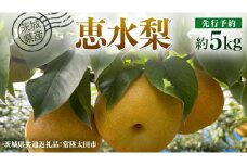 【 先行予約 】茨城県産 梨 恵水 約5kg 8玉～12玉 ( 茨城県共通返礼品 : 常陸太田市 ) 【 2025年 9月中旬頃より発送 】 フルーツ 果物 国産 日本産 梨 ナシ なし 和梨 フルーツ 果物 国産 日本産 梨 ナシ なし 和梨 期間限定 数量限定