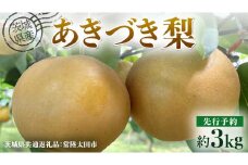 【 先行予約 】茨城県産 梨 あきづき 約3kg 6玉～7玉( 茨城県共通返礼品 : 常陸太田市 ) 【 2025年 9月中旬頃より発送 】 フルーツ 果物 国産 日本産 梨 ナシ なし 和梨 秋月 期間限定 数量限定