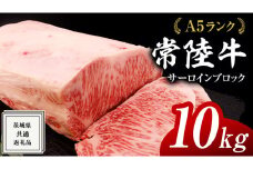 常陸牛 A5 等級 サーロイン ブロック 10kg ( 茨城県共通返礼品 ) 黒毛和牛 国産 業務用 大量 ブロック肉 塊 お肉 肉 A5ランク ブランド牛 牛肉 ひたち牛 ブランド和牛 ステーキ用