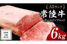 常陸牛 A5 等級 サーロイン ブロック 6kg ( 茨城県共通返礼品 ) 黒毛和牛 国産 業務用 大量 ブロック肉 塊 お肉 肉 A5ランク ブランド牛 牛肉 ひたち牛 ブランド和牛 ステーキ用