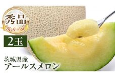 【 先行予約 】茨城県産 アールスメロン 秀品 3L サイズ × 2玉 入り おすすめ JA全農いばらき JA メロン めろん ふるさと納税 フルーツ 予約 マスクメロン くだもの 果物 国産旬 定番 旬 期間限定 青肉 果物 【 2025年8月下旬から発送 】
