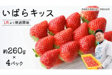 【 先行予約 】 茨城県品種 いばら キッス ( 4パック×1箱 )【 2025年1月から発送開始 】 ( 茨城県共通返礼品 : 常陸太田市 ) 約 260g × 4 パック いばらキッス いばらきっす いちご 数量限定 果物 くだもの フルーツ 苺 イチゴ 期間限定