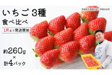 【 先行予約 】いちご 3種 食べ比べセット（4パック×1箱)【 2025年1月から発送開始 】 ( 茨城県共通返礼品 : 常陸太田市 ) 約 260g × 4パック いばらキッス ひたち姫 やよいひめ から 厳選して お届け 数量限定 果物 くだもの フルーツ 苺 イチゴ 期間限定