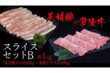 美明豚 × 常陸牛 スライスセットB 約1kg（美明豚もも 600g +常陸牛もも 400g ）（茨城県共通返礼品：行方市） びめいとん ビメイトン ブランド豚 銘柄豚 豚 豚肉 肉 もも 黒毛和牛 牛肉 ひたち牛 ブランド牛 和牛