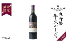 恵野果 牛久ルージュ 2022 750ml×1本 茨城県産 牛久醸造場 日本ワイン ワイン 赤ワイン 750ml ミディアムボディ お酒 贈り物 葡萄 ぶどう