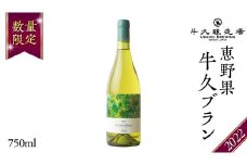 恵野果 牛久ブラン 2022 750ml×1本 茨城県産 茨城県産 牛久醸造場 日本ワイン ワイン  白ワイン 750ml ミディアムボディ お酒 贈り物 葡萄 ぶどう