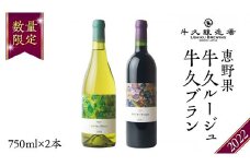 恵野果 牛久ルージュ 2022・恵野果 牛久ブラン 2022 の 750ml×2本セット 茨城県産 牛久醸造場 日本ワイン ワイン 赤ワイン 白ワイン 750ml ミディアムボディ お酒 贈り物 葡萄 ぶどう