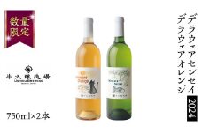 デラウェアセンセイ2024・デラウェアオレンジの2本セット 茨城県産 牛久醸造場 日本ワイン ワイン  白ワイン 750ml ミディアムボディ お酒 贈り物 葡萄 ぶどう オレンジワイン