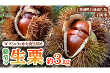 【 2025年9月中旬発送開始 】石岡 鶴沼 の 生栗 約3kg （茨城県共通返礼品：石岡市） 栗 くり クリ マロン 栗ごはん 栗ご飯 贈答 ギフト 秋の味覚 果物 フルーツ 数量限定 旬 秋 冬 正月 国産 秋 旬 旬の栗 お菓子作り 冷凍保存 先行予約