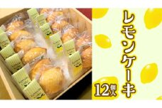 レモンケーキ 1箱 12個入 スイーツ デザート お菓子 おやつ 洋菓子 焼き菓子 レモン ケーキ 個包装 手作り 香料 着色料 保存用 不使用 素朴