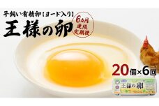 【6ヵ月 連続 定期便】王様の卵 ヨード入 20個 計120個 平飼い 地鶏 有精卵 濃厚 卵 こだわり卵 たまご  頒布会 定期