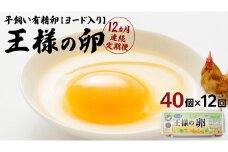 【12ヵ月 連続 定期便】王様の卵 ヨード入 40個 計480個 平飼い 地鶏 有精卵 濃厚 卵 こだわり卵 たまご  頒布会 定期