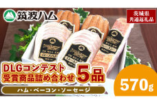 筑波ハム DLGコンテスト受賞商品 詰め合わせ ロースハムスライス ベーコン ウィンナー 合計570g ( 茨城県共通返礼品 ) 詰合せ 詰め合わせ 肉 豚 ウィンナー 熟成 贅沢