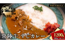 常陸牛 すじカレー 200g ×6 【茨城県共通返礼品】 カレー 牛すじ お肉 牛肉 簡単 冷凍 レトルト