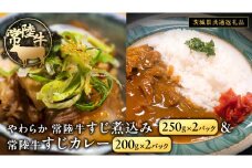やわらか 常陸牛 すじ煮込み と すじカレー セット 各2パック 【茨城県共通返礼品】 カレー 牛すじ 煮込み お肉 牛肉 簡単 冷凍 レトルト