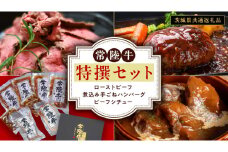 常陸牛 特撰セット （ ローストビーフ 、 煮込み手ごねハンバーグ 、 ビーフシチュー ) 【茨城県共通返礼品】 ハンバーグ シチュー 煮込み 手ごね お肉 肉 和牛 茨城県 特選 簡単 レトルト 冷凍