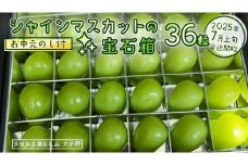 【 お中元 】『 シャインマスカット の宝石箱 (36粒) 』【2025年7月上旬発送開始】(茨城県共通返礼品：大子町)  ぶどう 葡萄 マスカット フルーツ 果物 贈答用 ギフト 贈り物