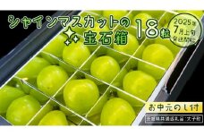 【 お中元 】『 シャインマスカット の宝石箱 (18粒) 』【2025年7月上旬発送開始】(茨城県共通返礼品：大子町)  ぶどう 葡萄 マスカット フルーツ 果物 贈答用 ギフト 贈り物