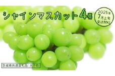 シャインマスカット ４房 【2025年7月上旬発送開始】(茨城県共通返礼品：大子町) ぶどう 葡萄 ブドウ マスカット フルーツ 果物 スイーツ