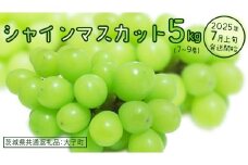 シャインマスカット 5kg (7～9房)【2025年7月上旬発送開始】(茨城県共通返礼品：大子町)　ぶどう 葡萄 ブドウ マスカット フルーツ 果物 贈答用 ギフト 贈り物