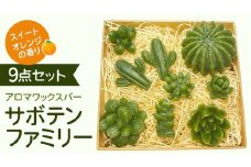 アロマワックスバー サボテンファミリー 9点セット ( スイートオレンジ / 緑色 ) アロマ キャンドル リラックス リラクゼーション 癒し 香り 香水 フレグランス 芳香 質の高い 睡眠 抗菌作用 空気清浄 サボテン さぼてん マスコット インテリア 雑貨