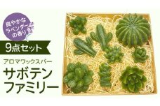 アロマワックスバー サボテンファミリー 9点セット ( ラベンダー / 緑色 ) アロマ キャンドル リラックス リラクゼーション 癒し 香り 香水 フレグランス 芳香 質の高い 睡眠 抗菌作用 空気清浄 サボテン さぼてん マスコット インテリア 雑貨