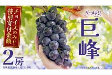 【チョイスのみ特別寄附額】 巨峰 ２房 (茨城県共通返礼品：大子町) ぶどう 葡萄 ブドウ フルーツ 果物 スイーツ