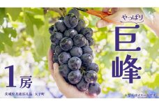 巨峰 １房 (茨城県共通返礼品：大子町) ぶどう 葡萄 ブドウ フルーツ 果物 スイーツ