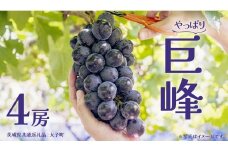 巨峰 ４房 (茨城県共通返礼品：大子町) ぶどう 葡萄 ブドウ フルーツ 果物 スイーツ