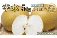 【 お中元 熨斗付き 】 幸水 約5kg (10～12玉)【2025年8月上旬発送開始】(茨城県共通返礼品：大子町) 梨 なし 果物 くだもの フルーツ