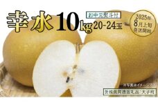 【 お中元 熨斗付き 】 幸水 約10kg (20～24玉)【2025年8月上旬発送開始】(茨城県共通返礼品：大子町) 梨 なし 果物 くだもの フルーツ