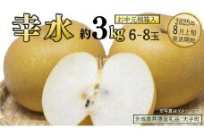 【 お中元 桐箱入り 】 幸水 約3kg (6～8玉)【2025年8月上旬発送開始】(茨城県共通返礼品：大子町) 梨 なし 果物 くだもの フルーツ