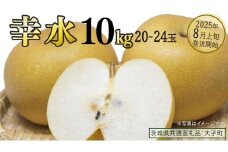 幸水 約10kg (20～24玉)【2025年8月上旬発送開始】(茨城県共通返礼品：大子町) 梨 なし 果物 くだもの フルーツ