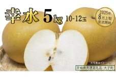 幸水 約5kg (10～12玉)【2025年8月上旬発送開始】(茨城県共通返礼品：大子町) 梨 なし 果物 くだもの フルーツ