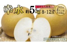 【 お中元 化粧箱入り】 幸水 約5kg (8～12玉)【2025年8月上旬発送開始】(茨城県共通返礼品：大子町) 梨 なし 果物 くだもの フルーツ