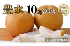 豊水 約10kg (20～24玉)【2025年9月上旬発送開始】(茨城県共通返礼品：大子町) 梨 なし 果物 くだもの フルーツ