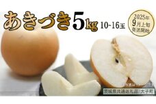 あきづき 約5kg (10～16個)【2025年9月上旬発送開始】(茨城県共通返礼品：大子町) 秋月 梨 なし 果物 くだもの フルーツ